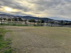 sportsIMG_3673